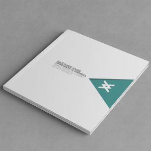 Feelbrand: agencia de branding y marketing en barcelona | proyecto Credit Back | Portada