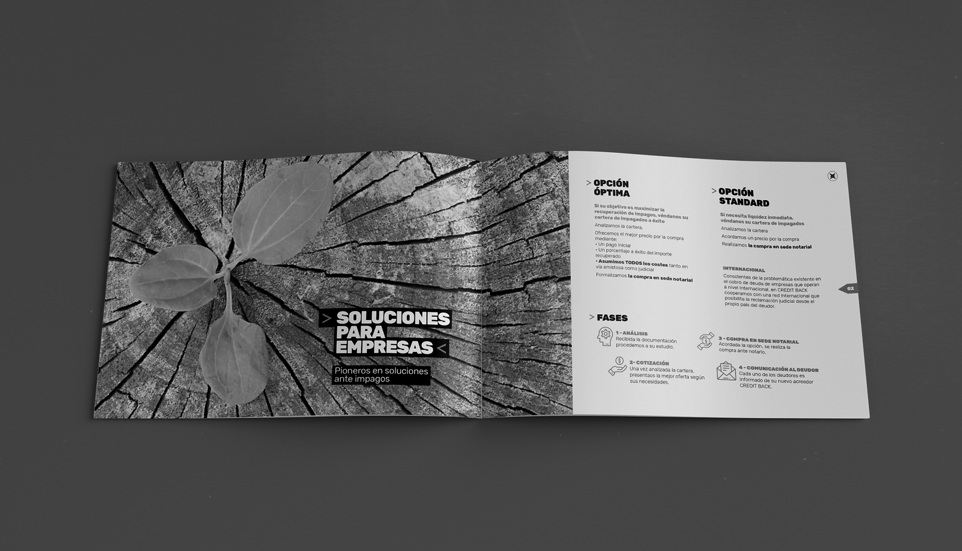 Feelbrand: agencia de branding y marketing en barcelona | proyecto Credit Back | MockUp header